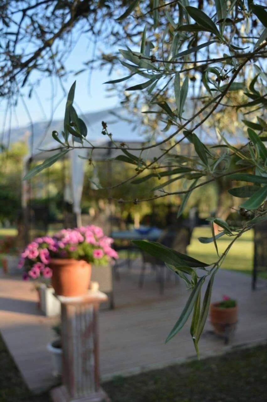 Apartamento Sunny Garden Plataria Exterior foto